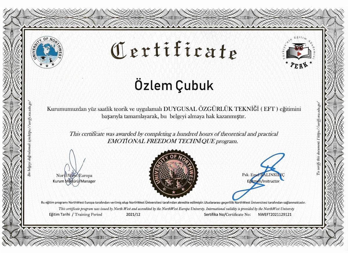 ankara-duygusal-özgürlük-tekniği-eft-uzmanı-özlem-çubuk