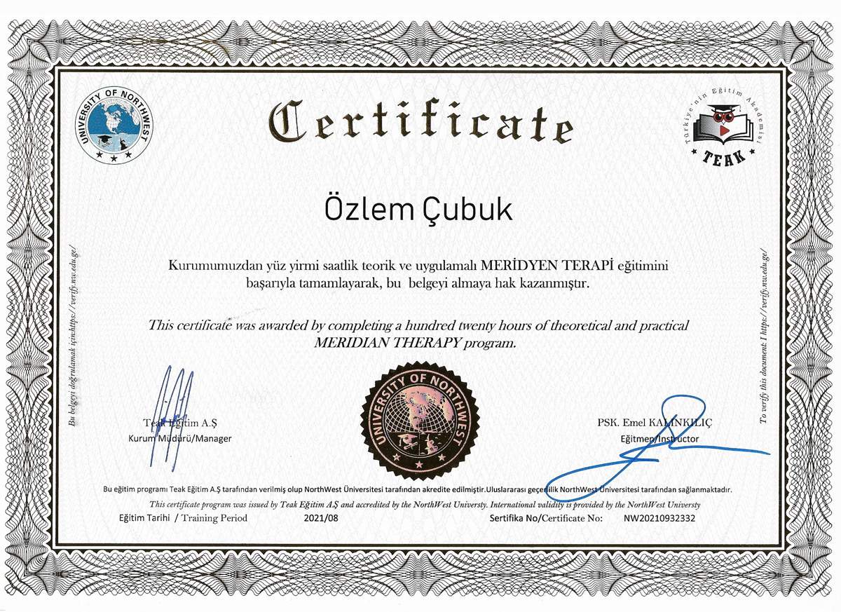 ankara-meridyen-terapi-uzmanı-özlem-çubuk